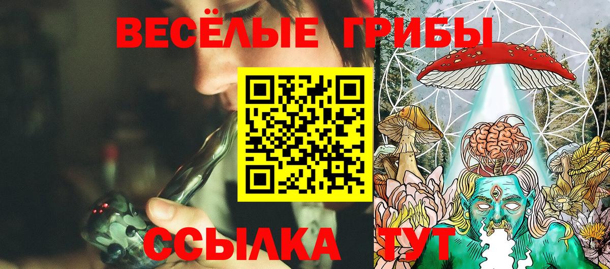 Галлюциногенные грибы мухоморы  Вход с VPN  Холмск 
